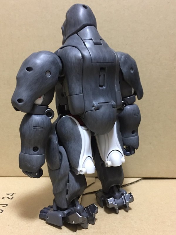 MP 32 Masterpiece Optimus Primal   In Hand Photos Surface On Twitter  (60 of 81)